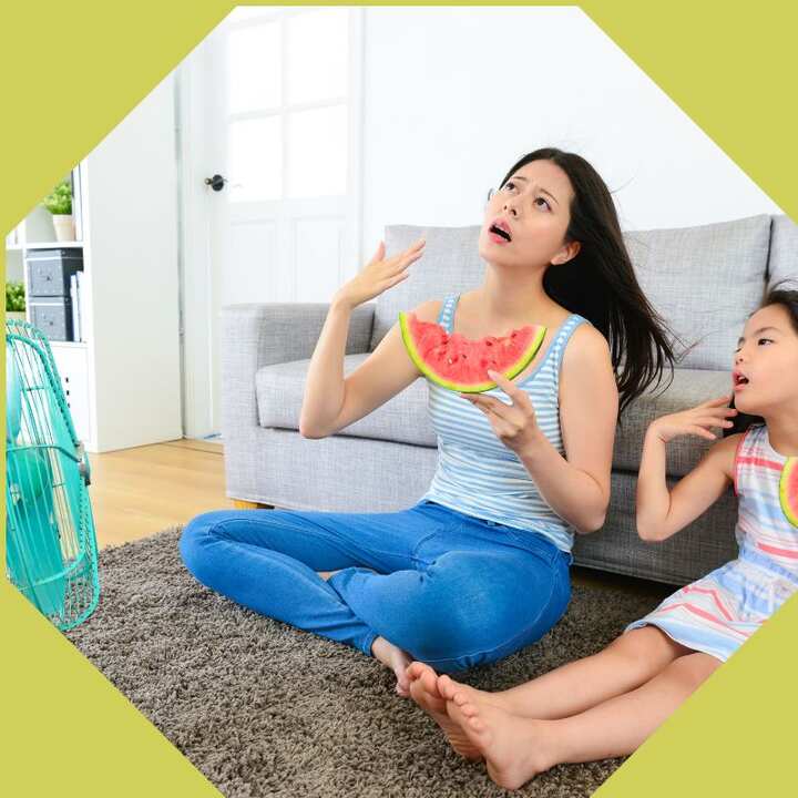 theme builder 8W3U9w1EPSmMcT5K